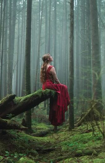 In Silence She Waits